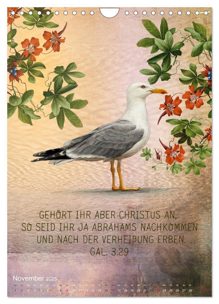 Bild: 9783435962655 | Bibelworte für Vogelfreunde (Wandkalender 2025 DIN A4 hoch),...