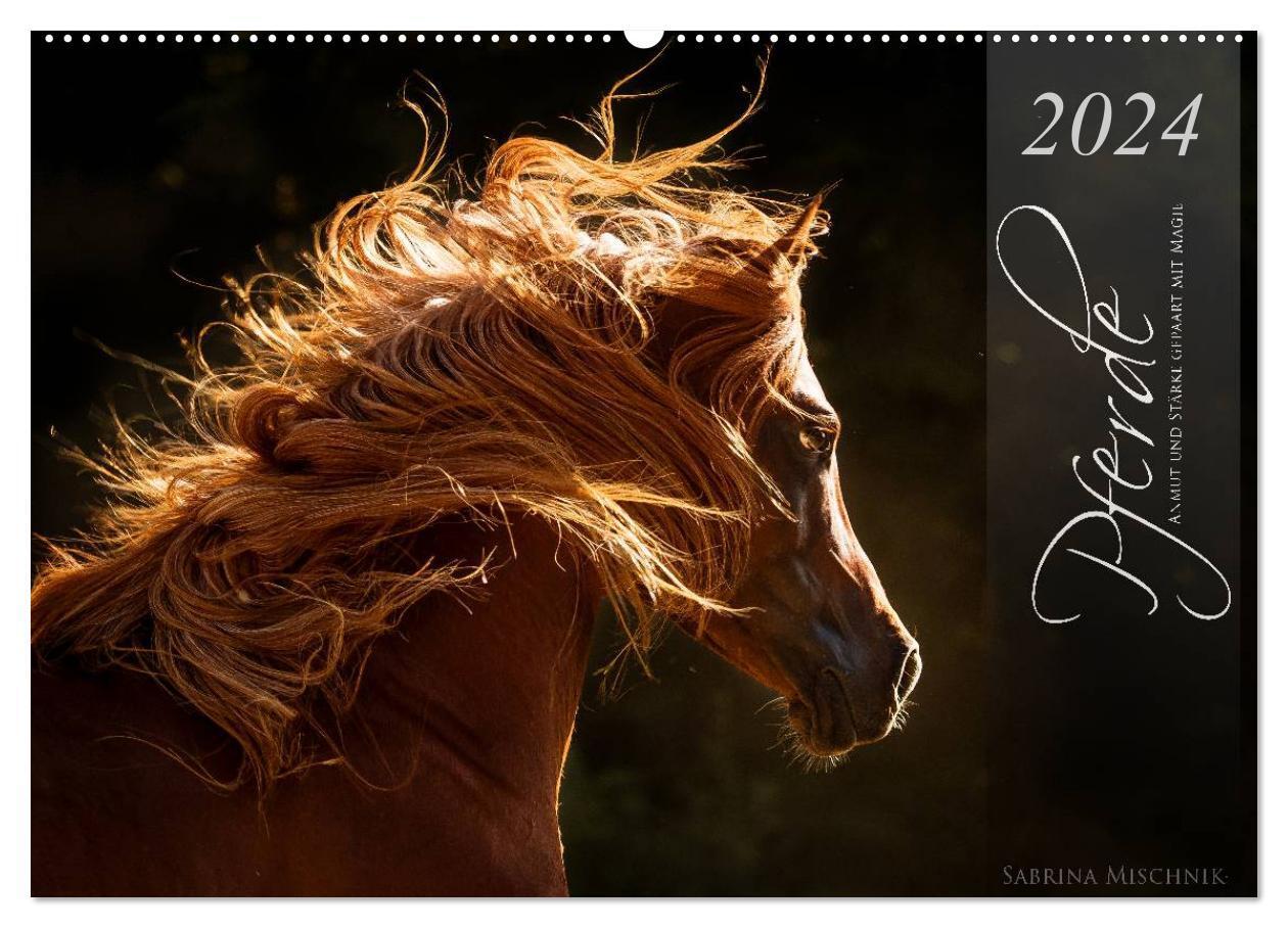 Cover: 9783675468078 | Pferde - Anmut und Stärke gepaart mit Magie (Wandkalender 2024 DIN...