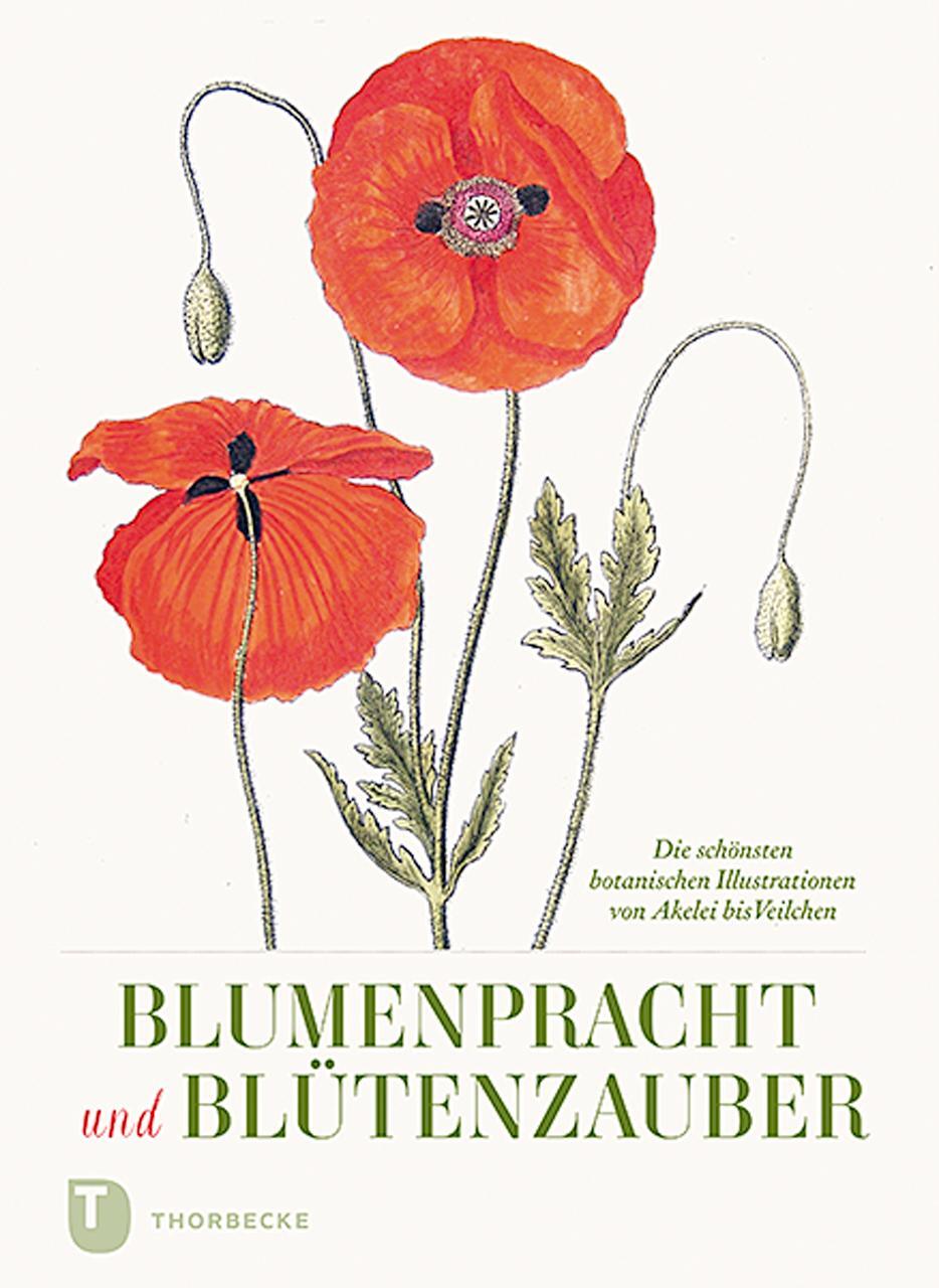 Cover: 9783799514415 | Blumenpracht und Blütenzauber | Buch | mit Stoff-Haptik | Deutsch