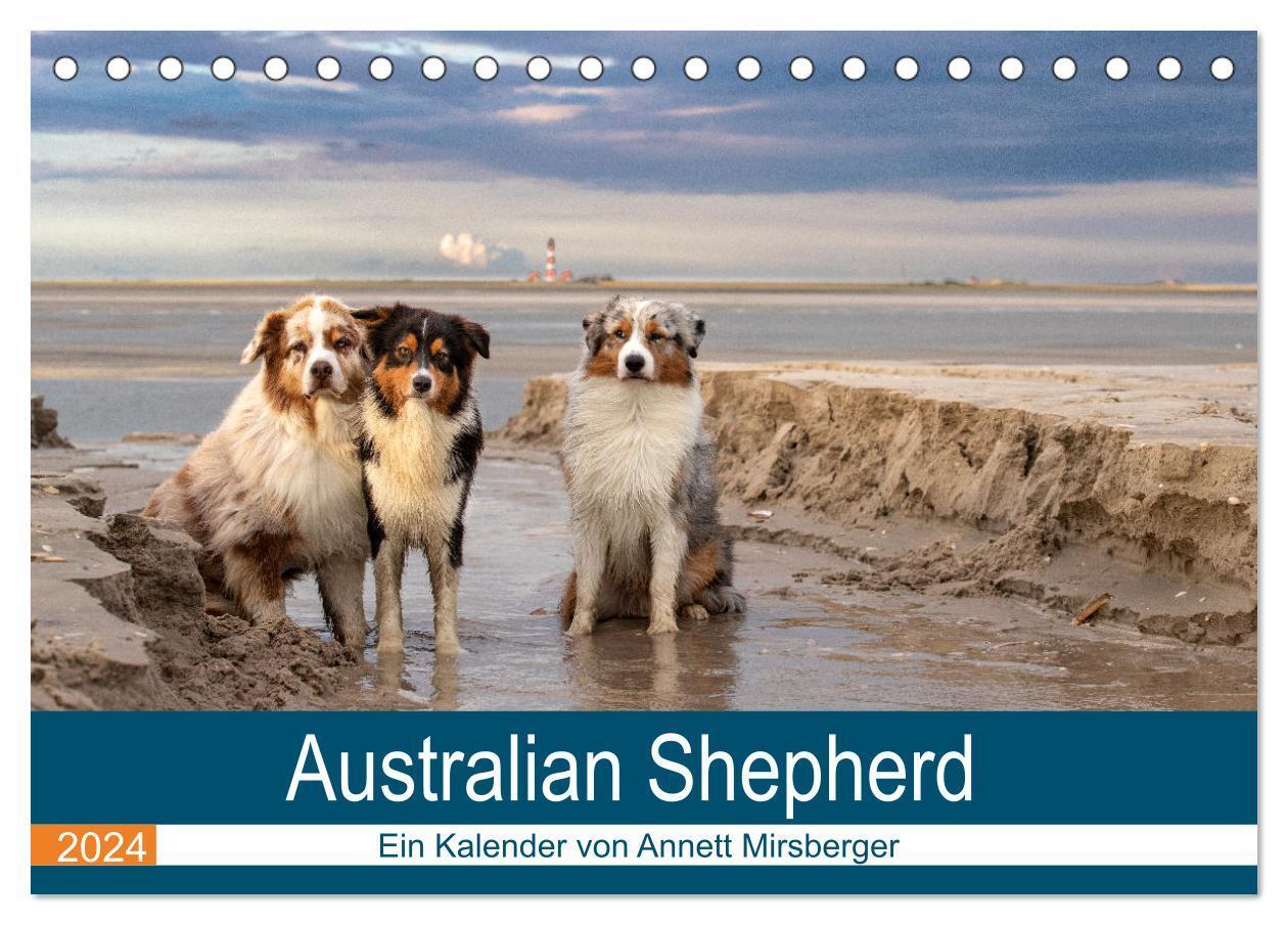Cover: 9783383459757 | Australian Shepherd 2024 (Tischkalender 2024 DIN A5 quer), CALVENDO...