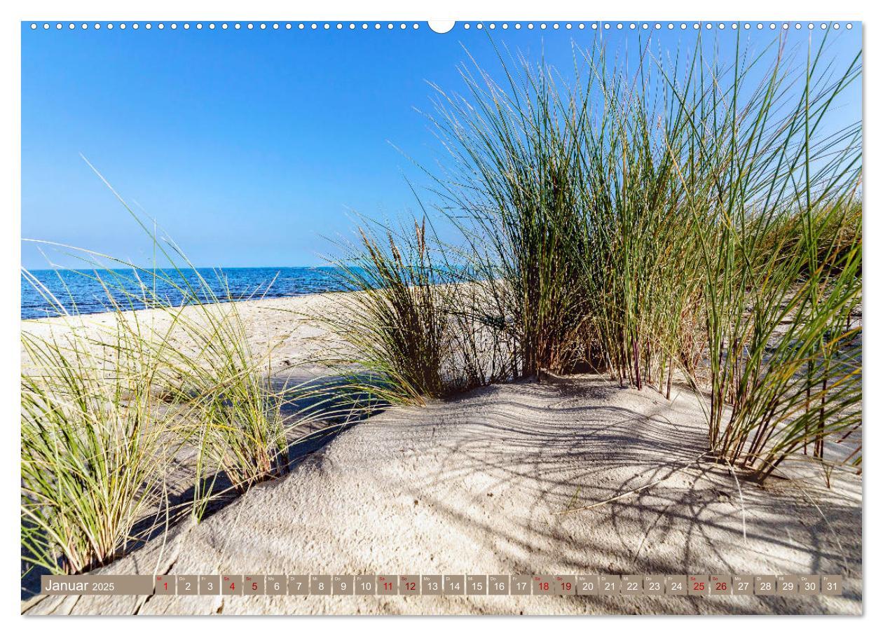 Bild: 9783435053872 | Inselliebe Langeoog (Wandkalender 2025 DIN A2 quer), CALVENDO...