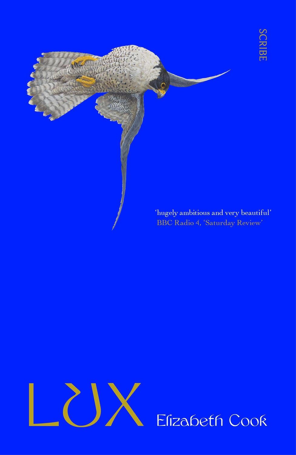 Cover: 9781912854745 | Lux | a novel | Elizabeth Cook | Taschenbuch | 416 S. | Englisch