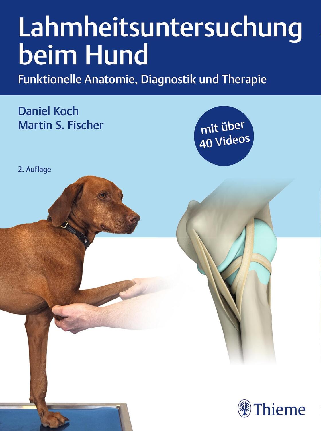 Cover: 9783132421011 | Lahmheitsuntersuchung beim Hund | Daniel Koch (u. a.) | Buch | 248 S.
