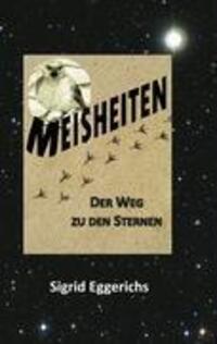 Cover: 9783839106013 | MEISHEITEN | Der Weg zu den Sternen | Sigrid Eggerichs | Taschenbuch