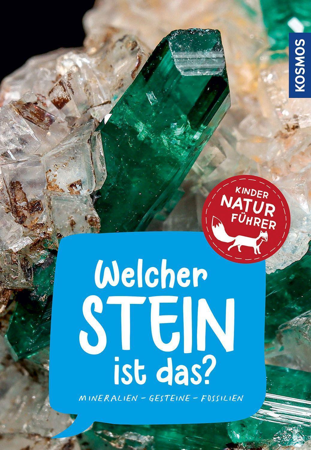 Cover: 9783440175767 | Welcher Stein ist das? Kindernaturführer | Rupert Hochleitner | Buch