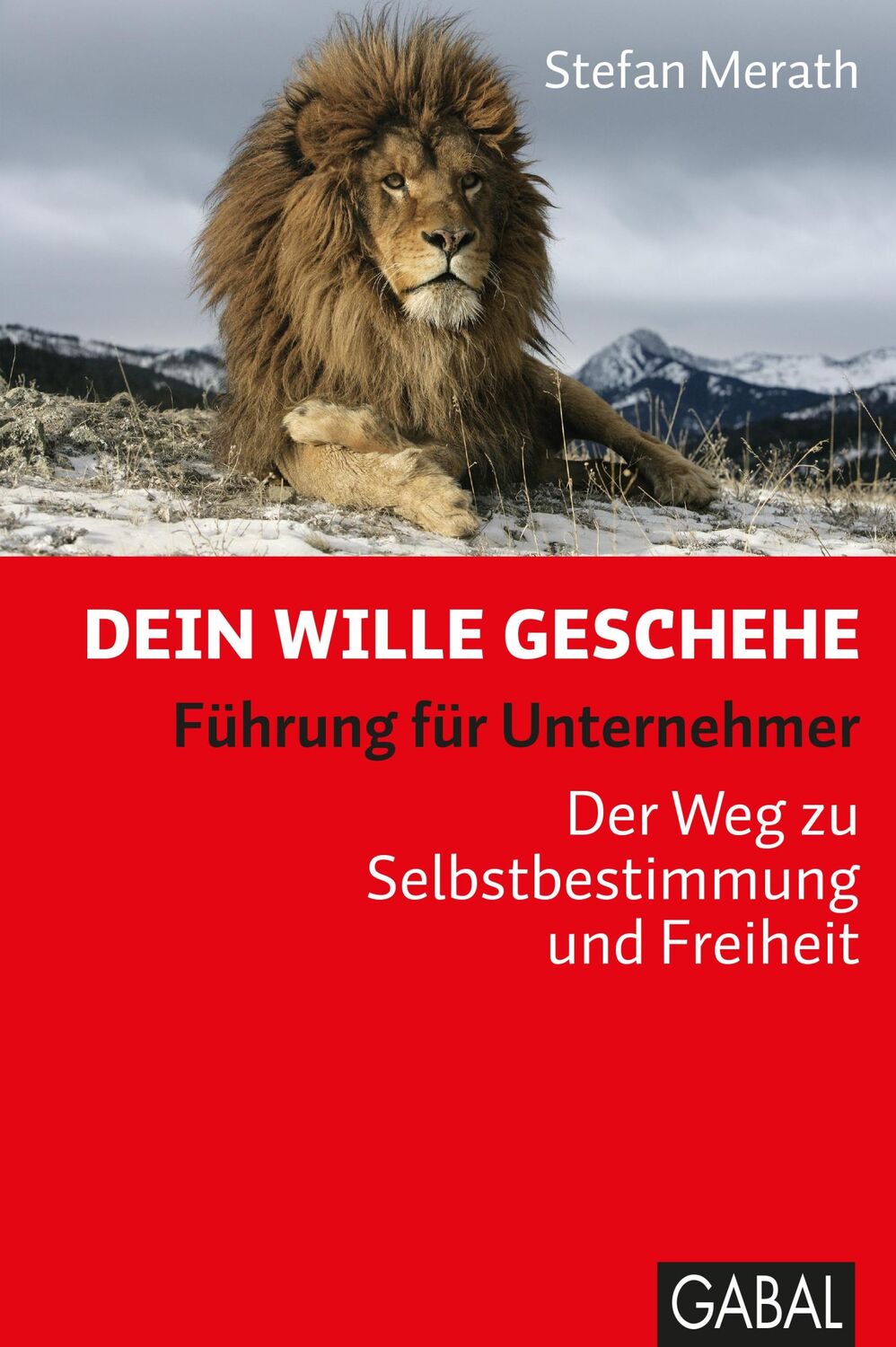 Cover: 9783869367514 | Dein Wille geschehe | Stefan Merath | Buch | Dein Business | 520 S.