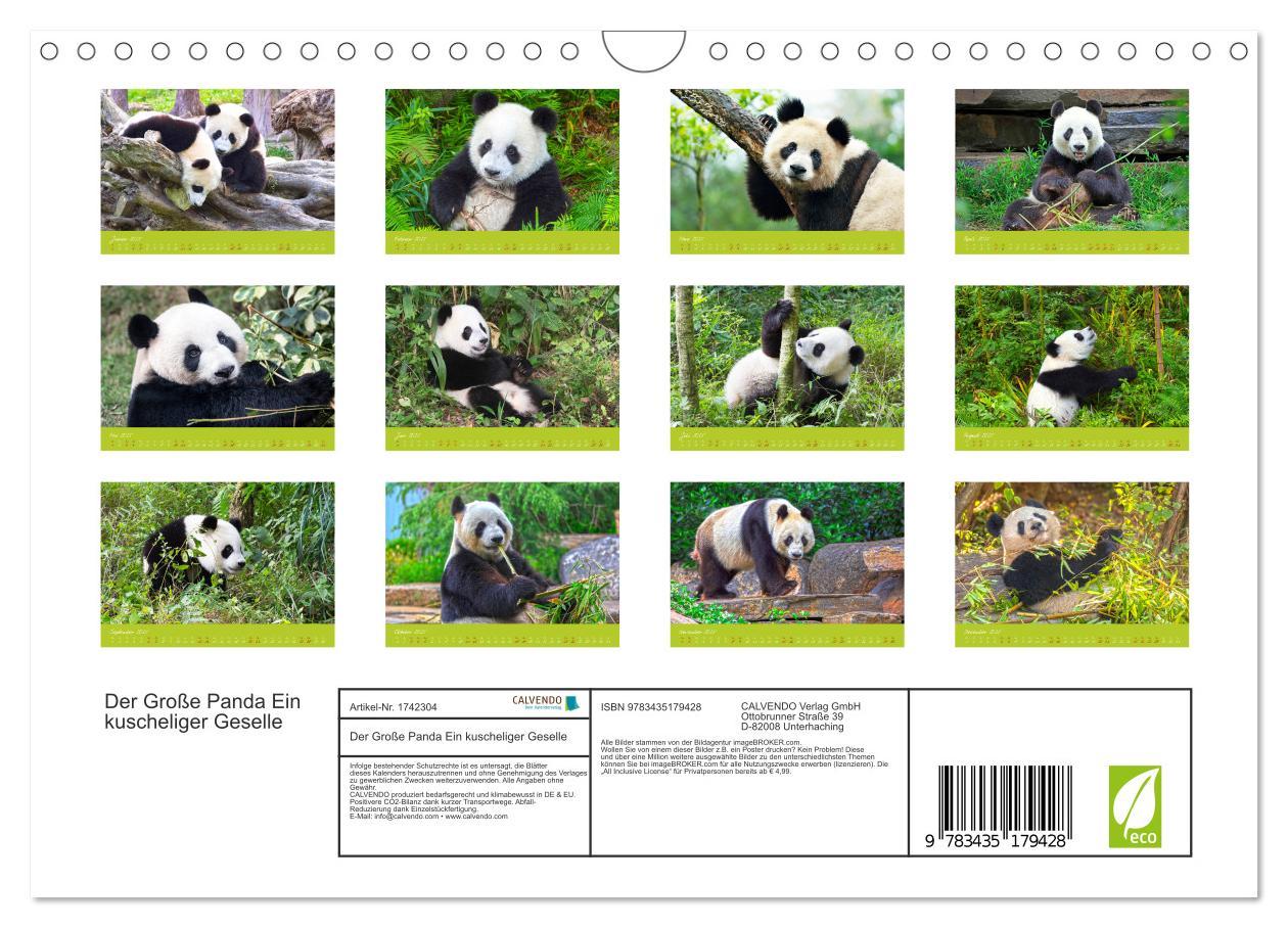 Bild: 9783435179428 | Der Große Panda Ein kuscheliger Geselle (Wandkalender 2025 DIN A4...