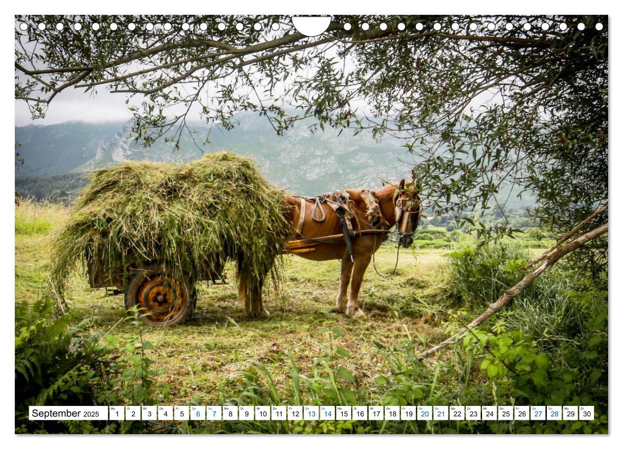 Bild: 9783435246113 | Der nördliche Jakobsweg (Wandkalender 2025 DIN A4 quer), CALVENDO...