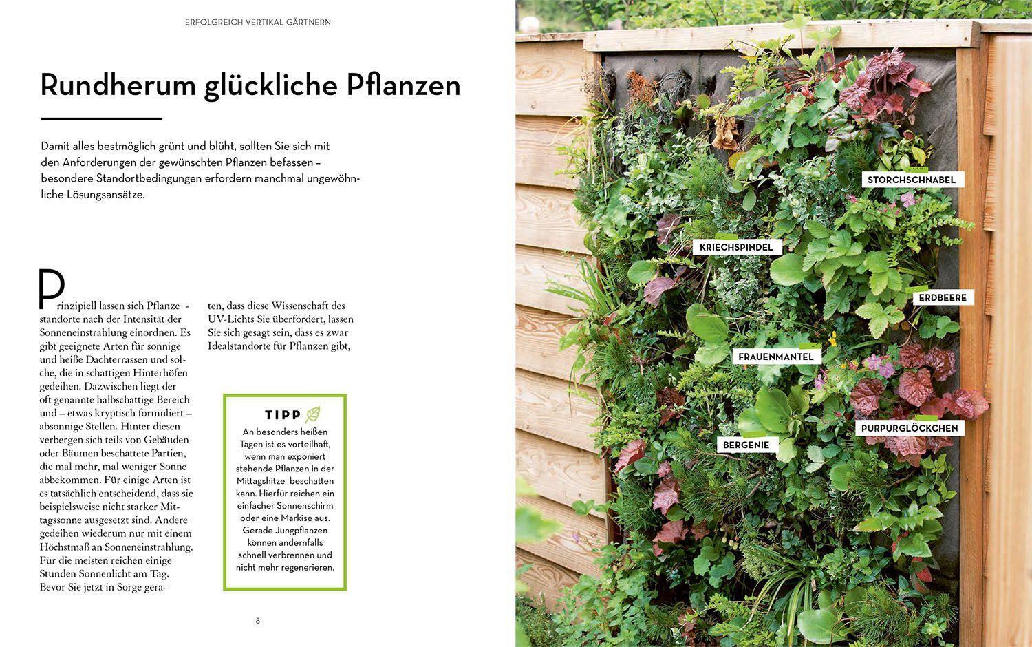 Bild: 9783440174487 | Vertikal gärtnern | Grüne Ideen für kleine Gärten, Balkon & Terrasse