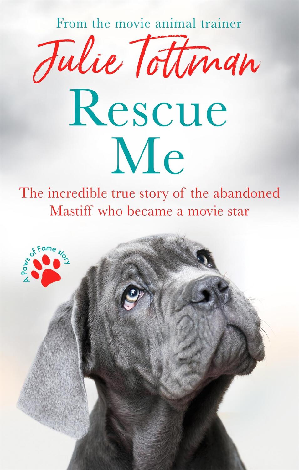 Cover: 9780751580112 | Rescue Me | Julie Tottman | Taschenbuch | Kartoniert / Broschiert