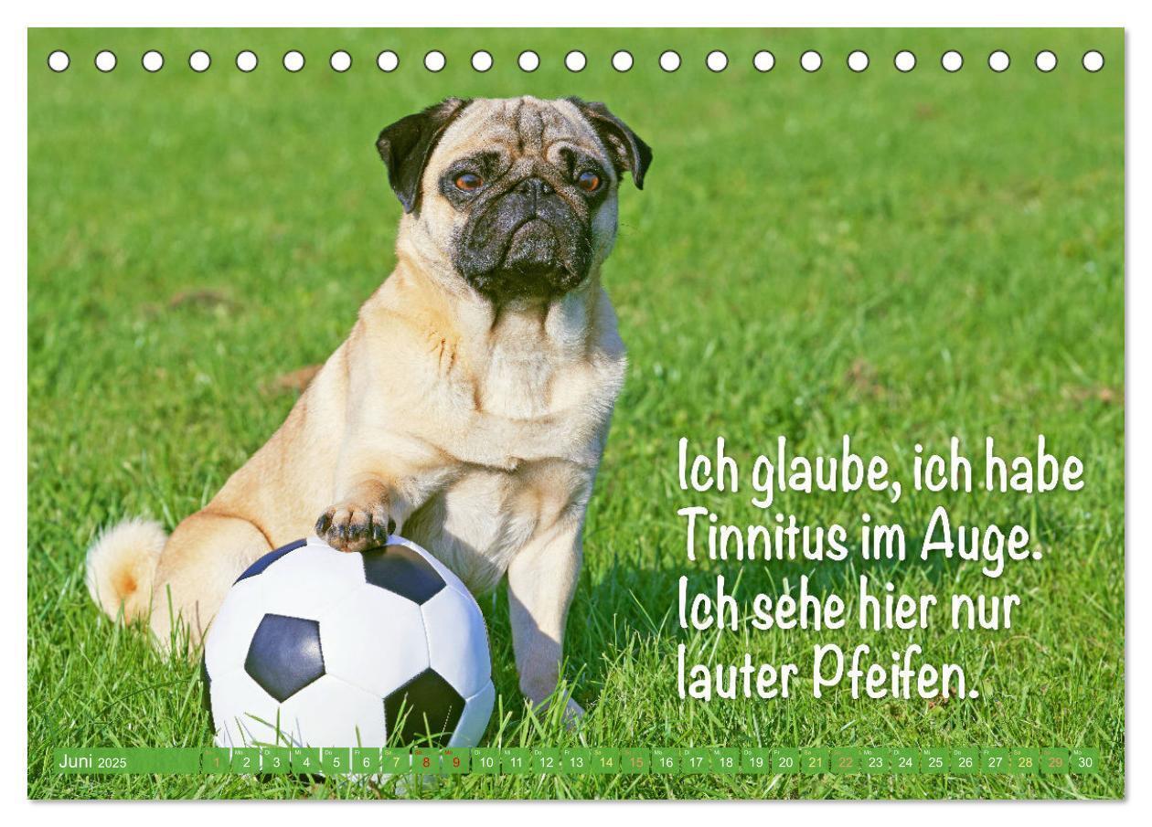 Bild: 9783435070787 | Der Mops: Nicht klein, sondern aufs Wesentliche reduziert. Edition...