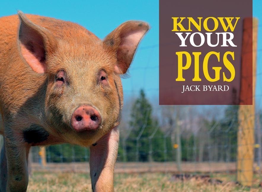 Cover: 9781912158546 | Know Your Pigs | Jack Byard | Taschenbuch | Kartoniert / Broschiert