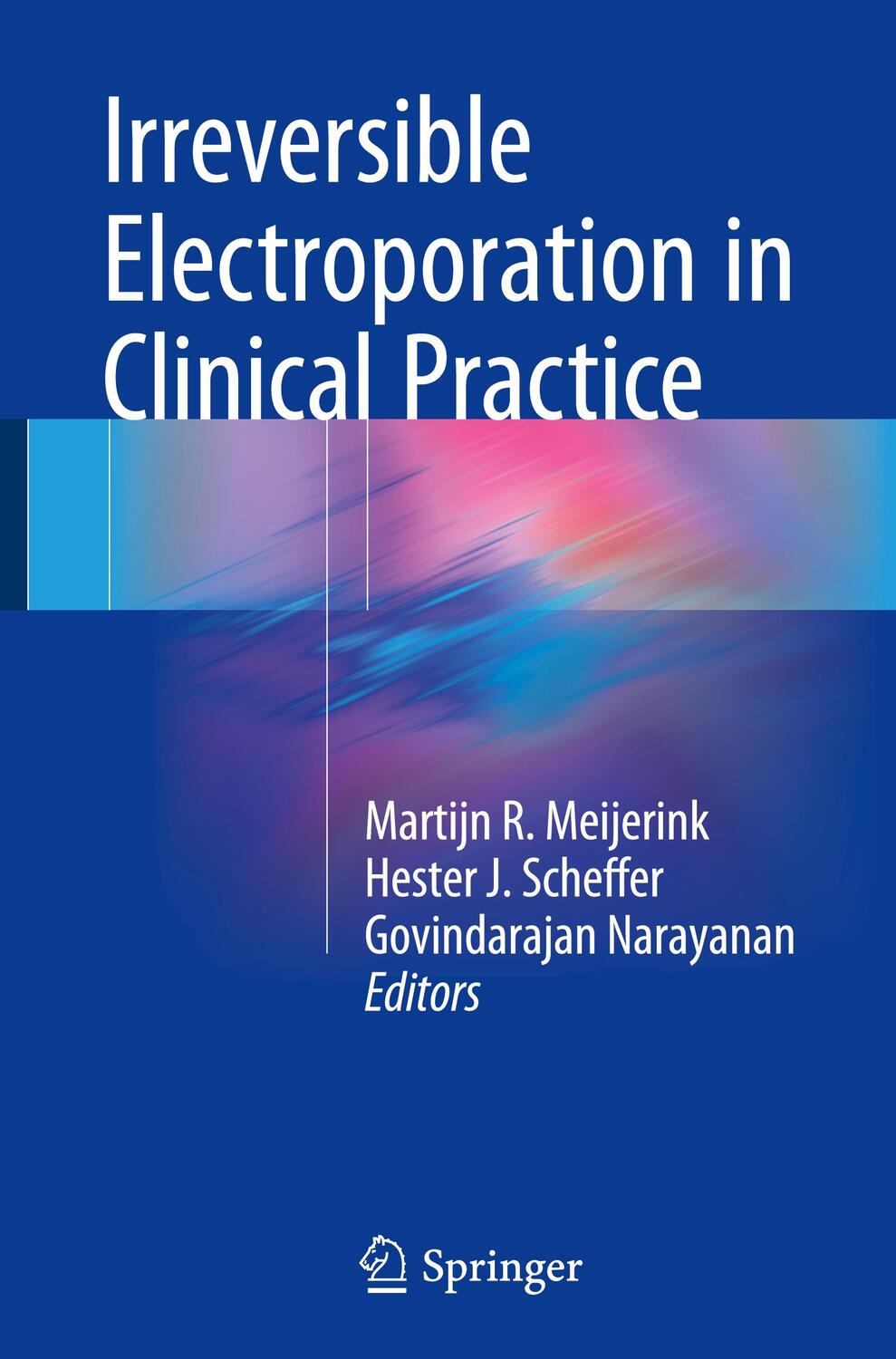 Cover: 9783319551128 | Irreversible Electroporation in Clinical Practice | Meijerink (u. a.)