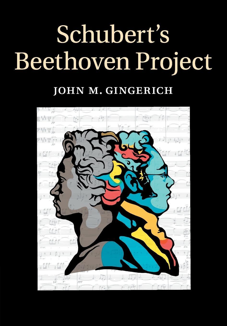 Cover: 9781316621257 | Schubert's Beethoven Project | John M. Gingerich | Taschenbuch | 2016