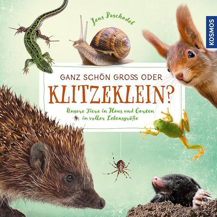 Cover: 9783440154816 | Ganz schön groß oder klitzeklein? | Jens Poschadel | Buch | Deutsch