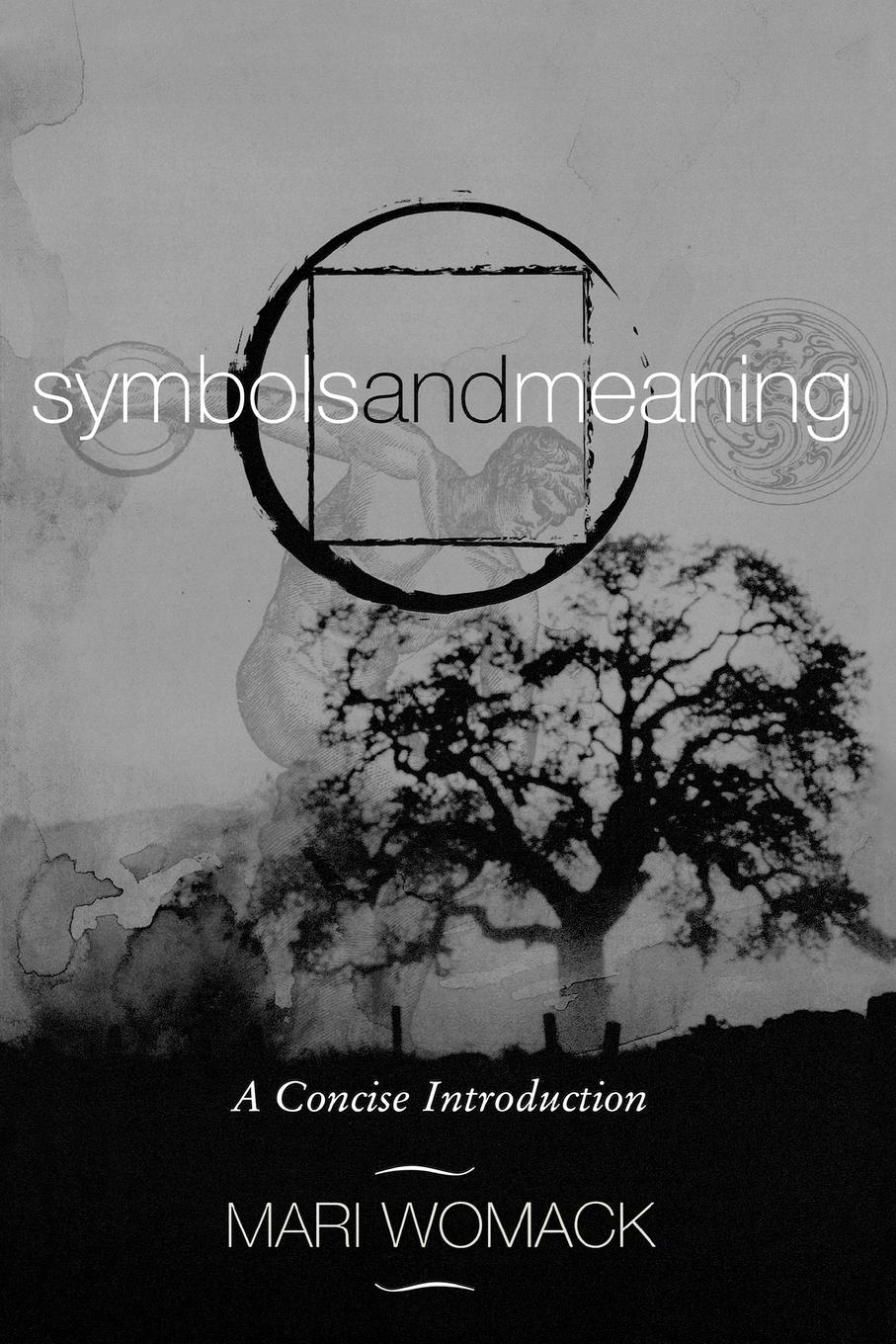 Cover: 9780759103221 | Symbols and Meaning | A Concise Introduction | Mari Womack | Buch