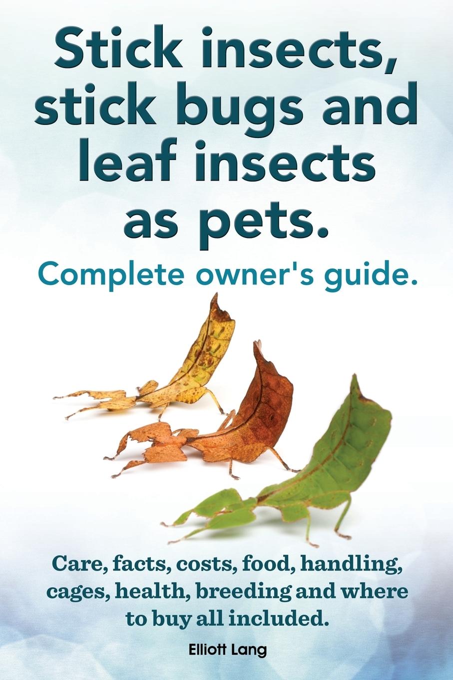 Cover: 9781909151925 | Stick Insects, Stick Bugs and Leaf Insects as Pets. Stick Insects...