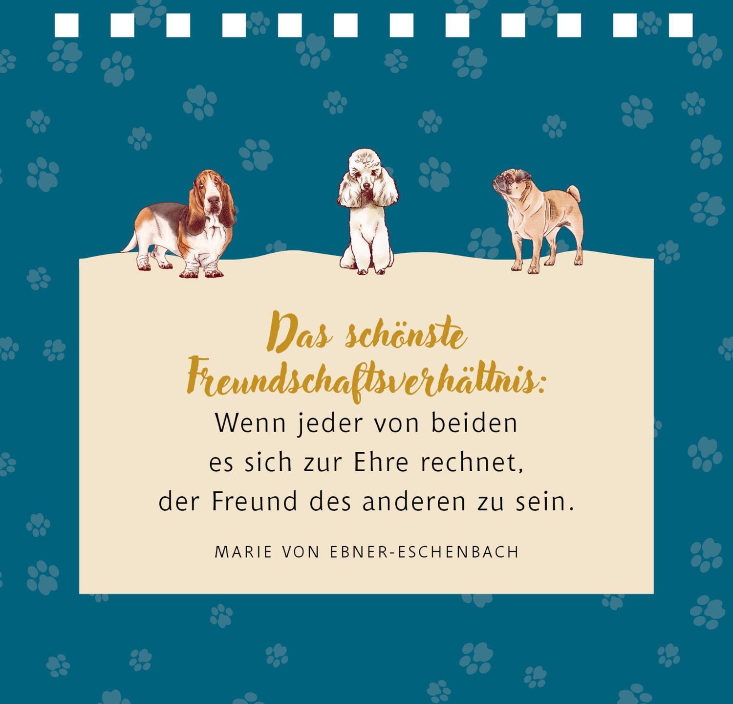 Bild: 9783649646044 | Tierisch beste Freunde | Julia Gerigk | Taschenbuch | 144 S. | Deutsch