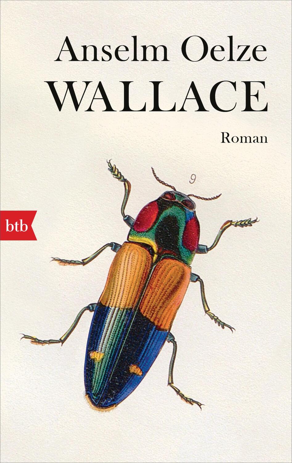Cover: 9783442719648 | Wallace | Roman | Anselm Oelze | Taschenbuch | Deutsch | 2021 | btb