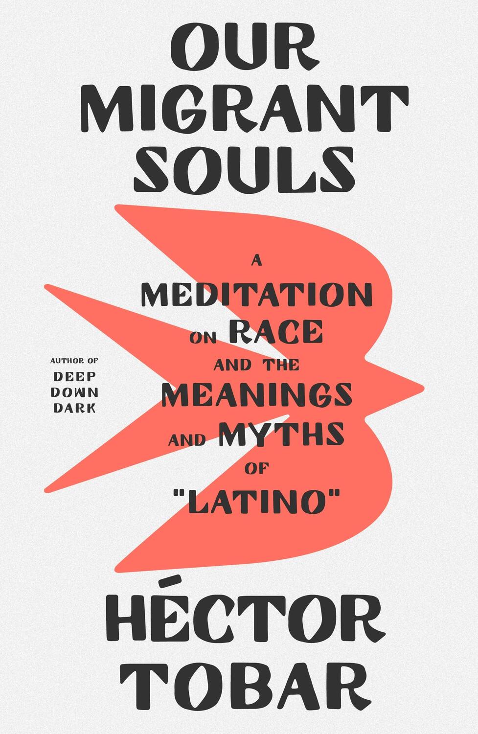 Cover: 9780374609900 | Our Migrant Souls: A Meditation on Race and the Meanings and Myths...