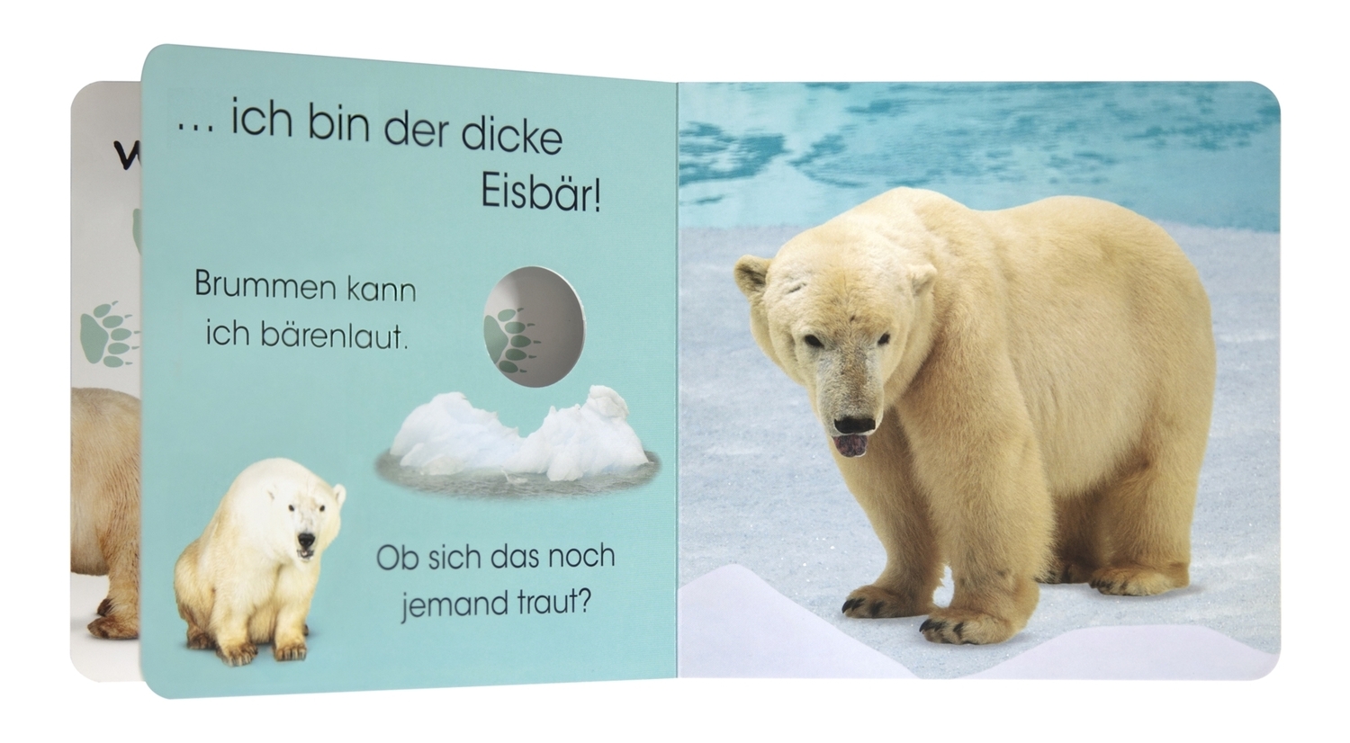 Bild: 9783831039470 | Wer versteckt sich da? Im Zoo | Sandra Grimm | Buch | 28 S. | Deutsch