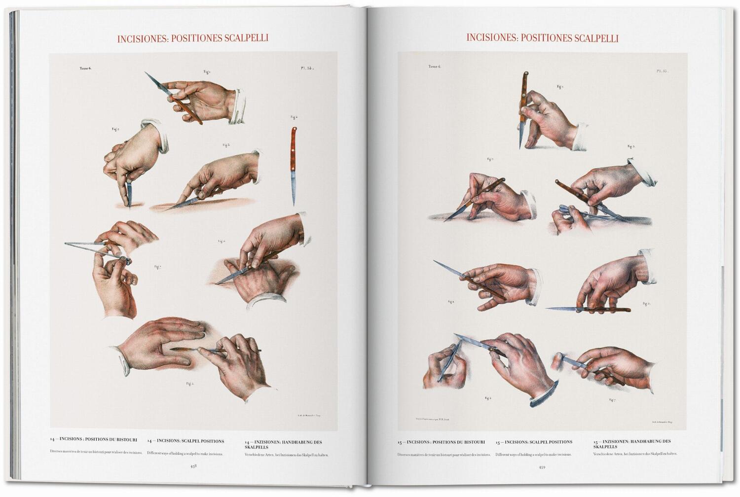 Bild: 9783836568982 | Bourgery. Atlas of Human Anatomy and Surgery | Minor (u. a.) | Buch