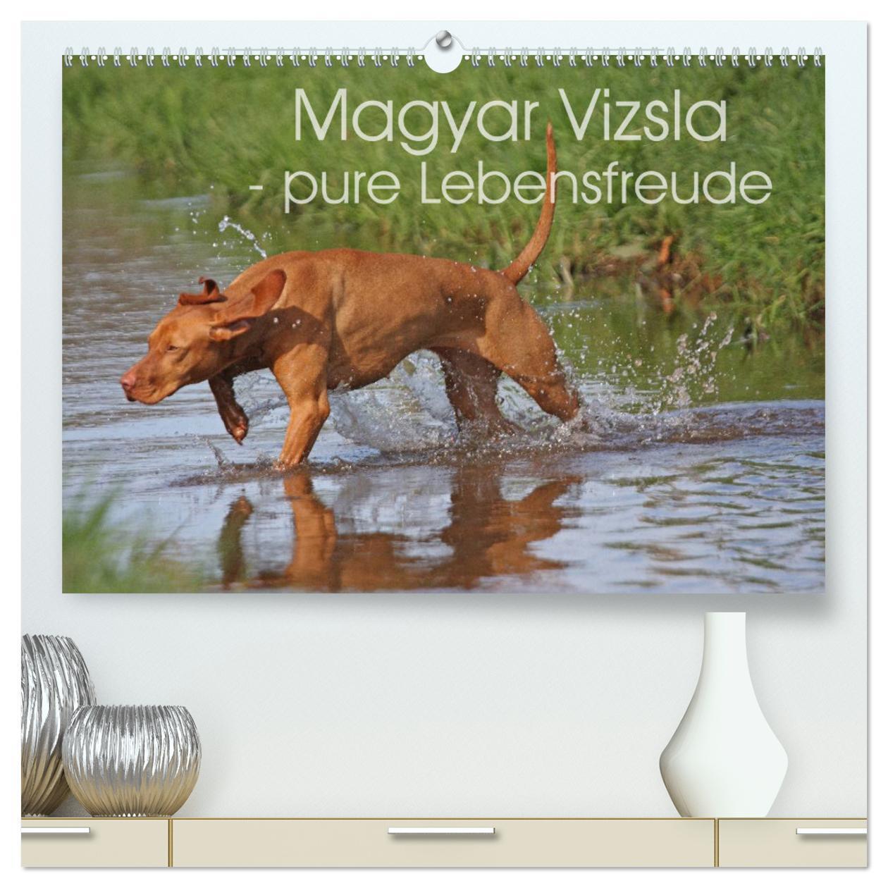 Cover: 9783383415470 | Magyar Vizsla - pure Lebensfreude (hochwertiger Premium...