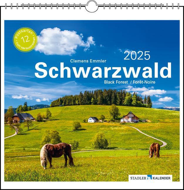Cover: 9783861924135 | Schwarzwald 2025 | Postkarten-Tischkalender | Kalender | Spiralbindung