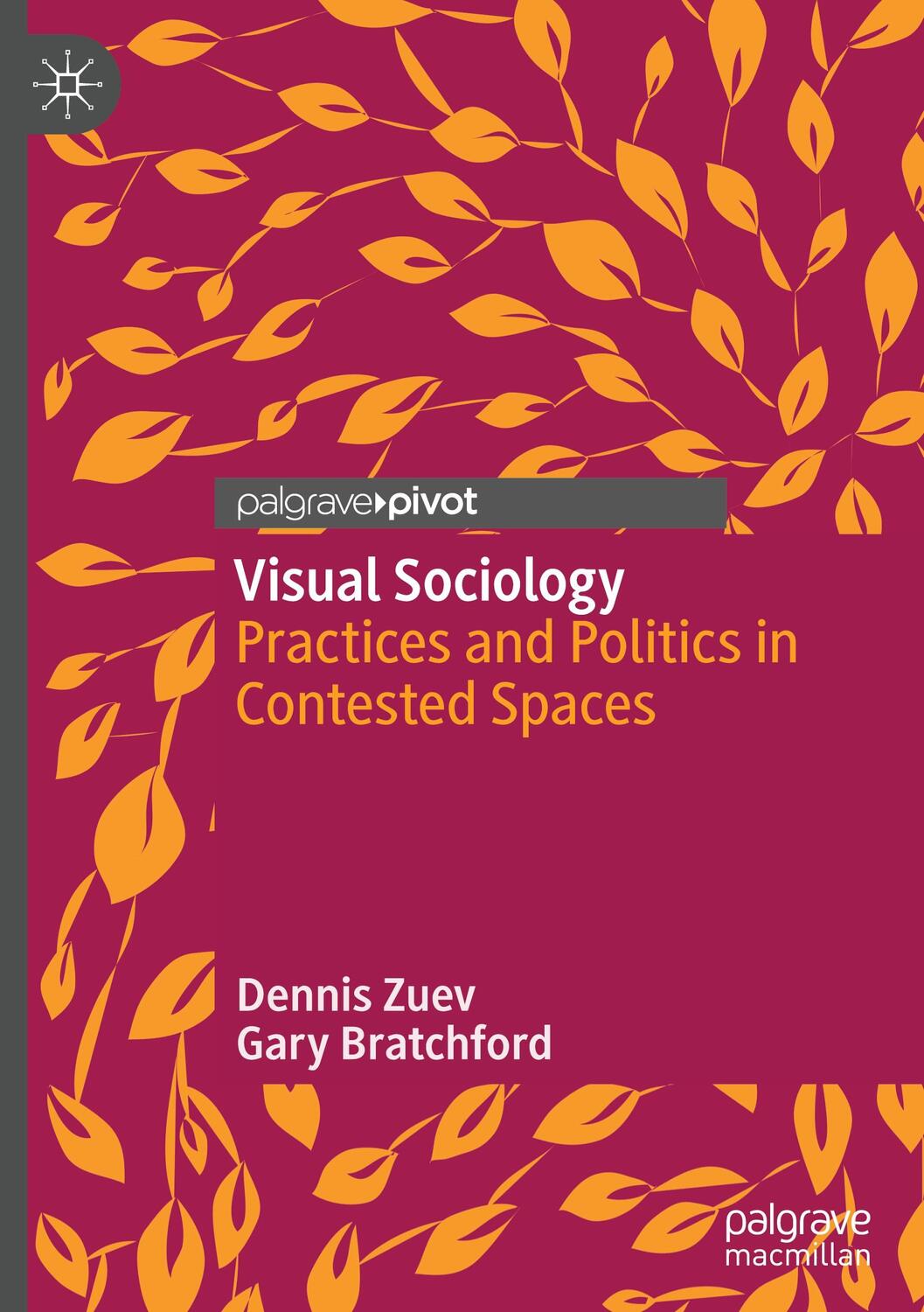 Cover: 9783030545093 | Visual Sociology | Practices and Politics in Contested Spaces | Buch