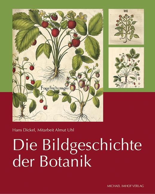 Cover: 9783731908081 | Die Bildgeschichte der Botanik | Hans Dickel | Buch | Deutsch | 2019