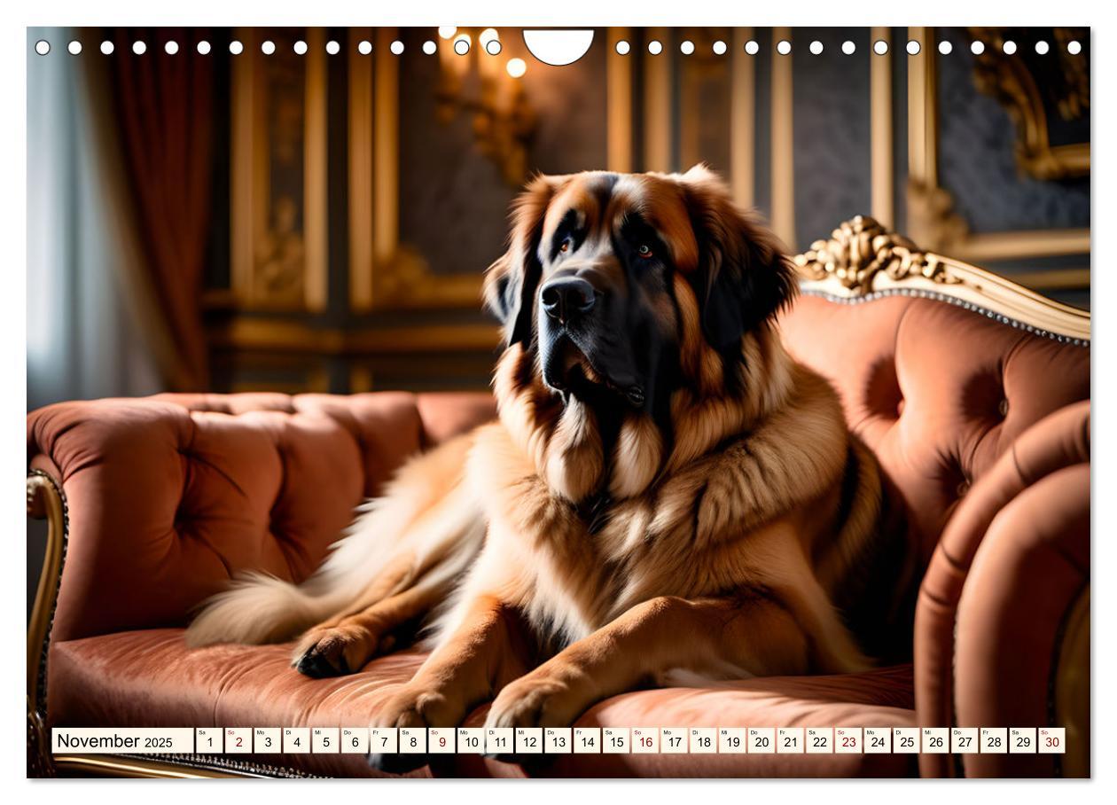 Bild: 9783457244487 | Leonberger - der zahme Löwe (Wandkalender 2025 DIN A4 quer),...