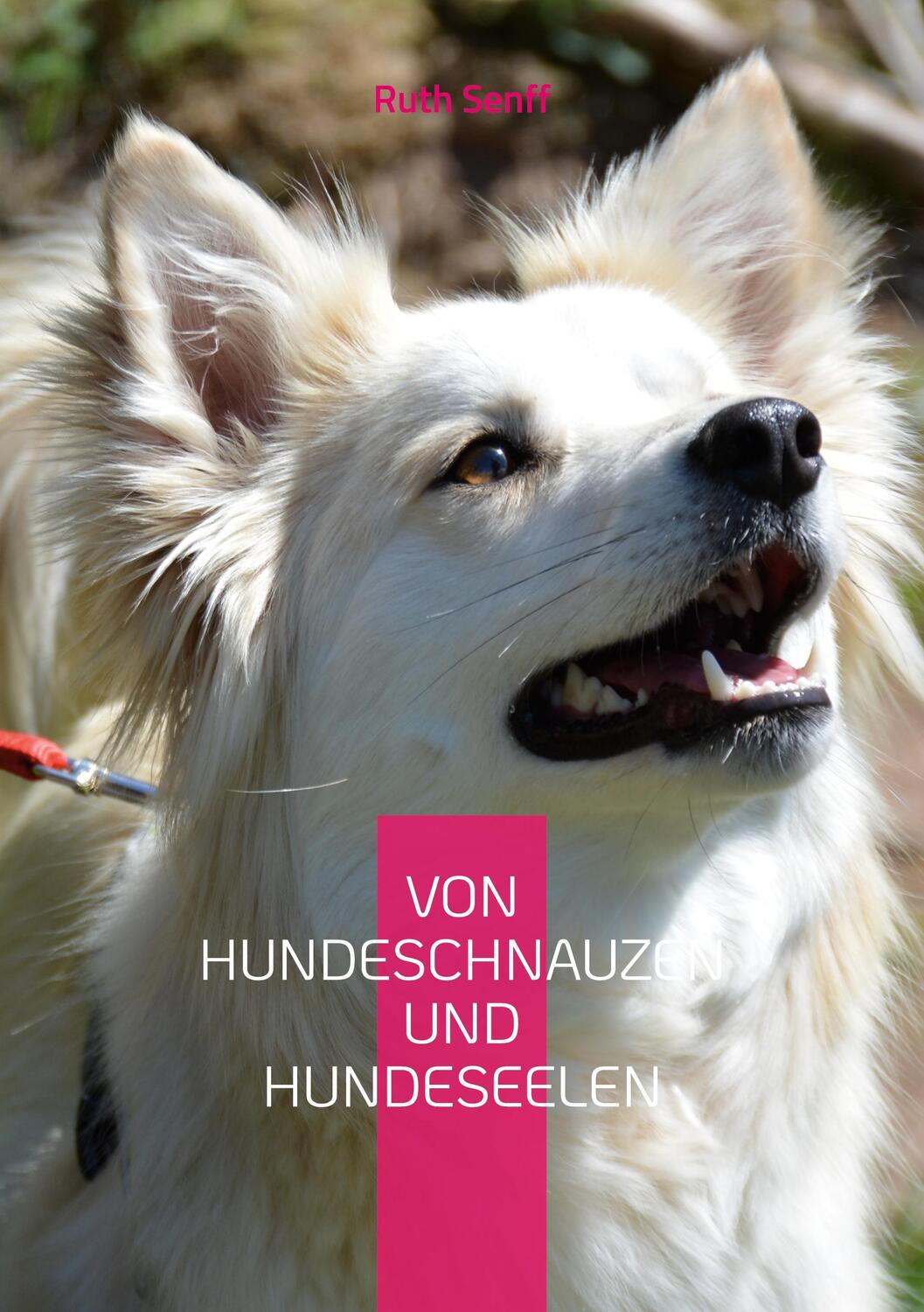 Cover: 9783756842100 | Von Hundeschnauzen und Hundeseelen | Ruth Senff | Taschenbuch | 2022