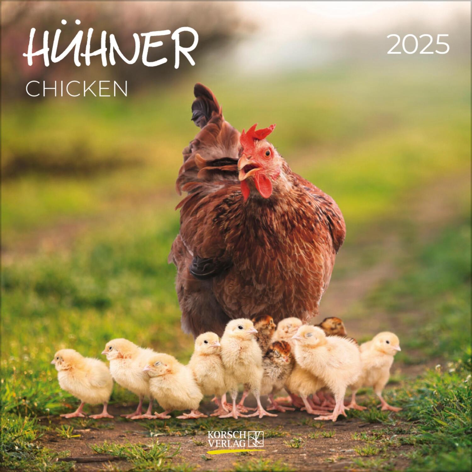 Cover: 9783731880127 | Hühner 2025 | Verlag Korsch | Kalender | 13 S. | Deutsch | 2025