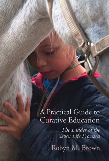 Cover: 9781584209829 | A Practical Guide to Curative Education | Robyn Brown | Taschenbuch