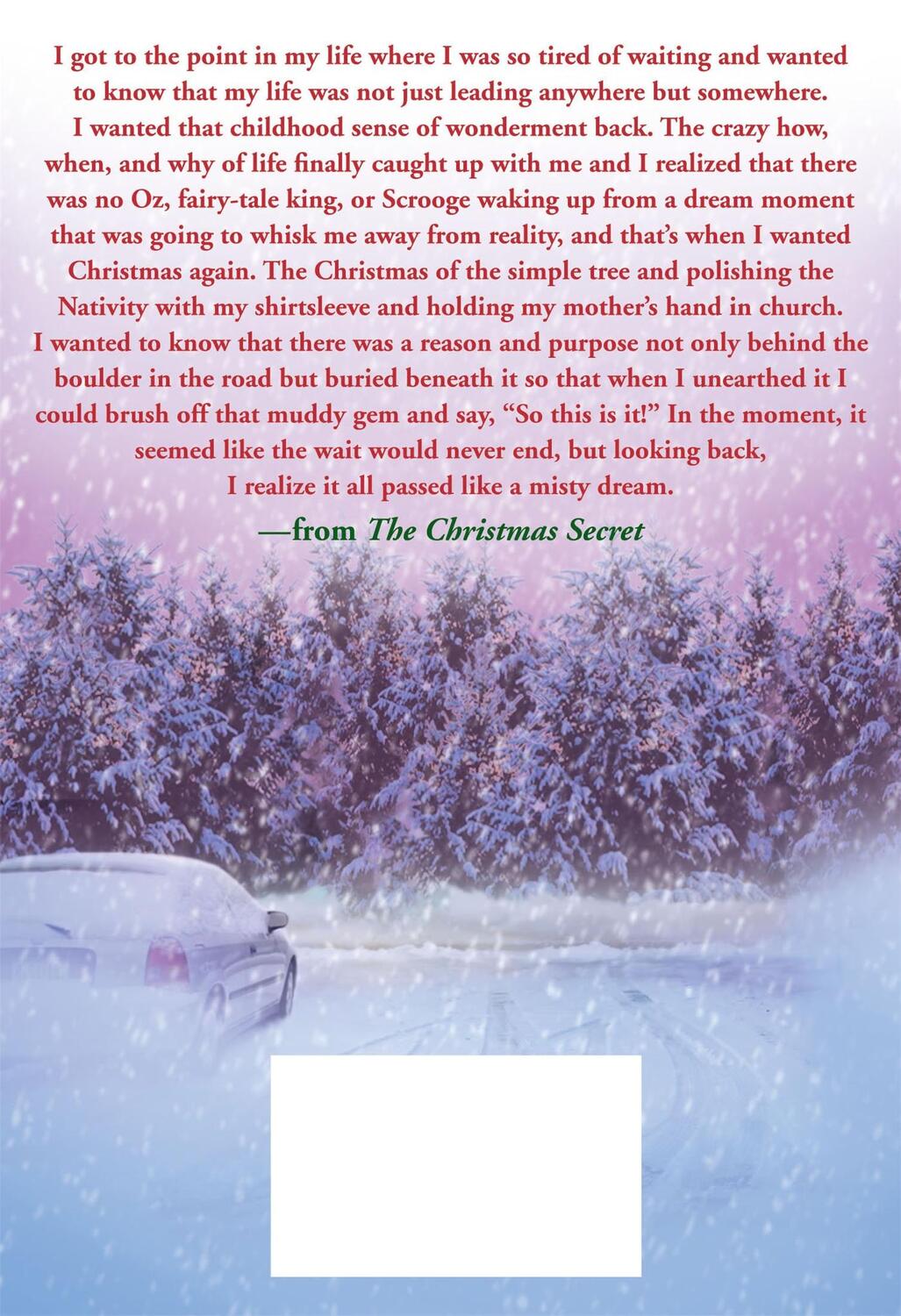 Rückseite: 9780312558369 | Christmas Secret | Donna Vanliere | Buch | Englisch | 2009