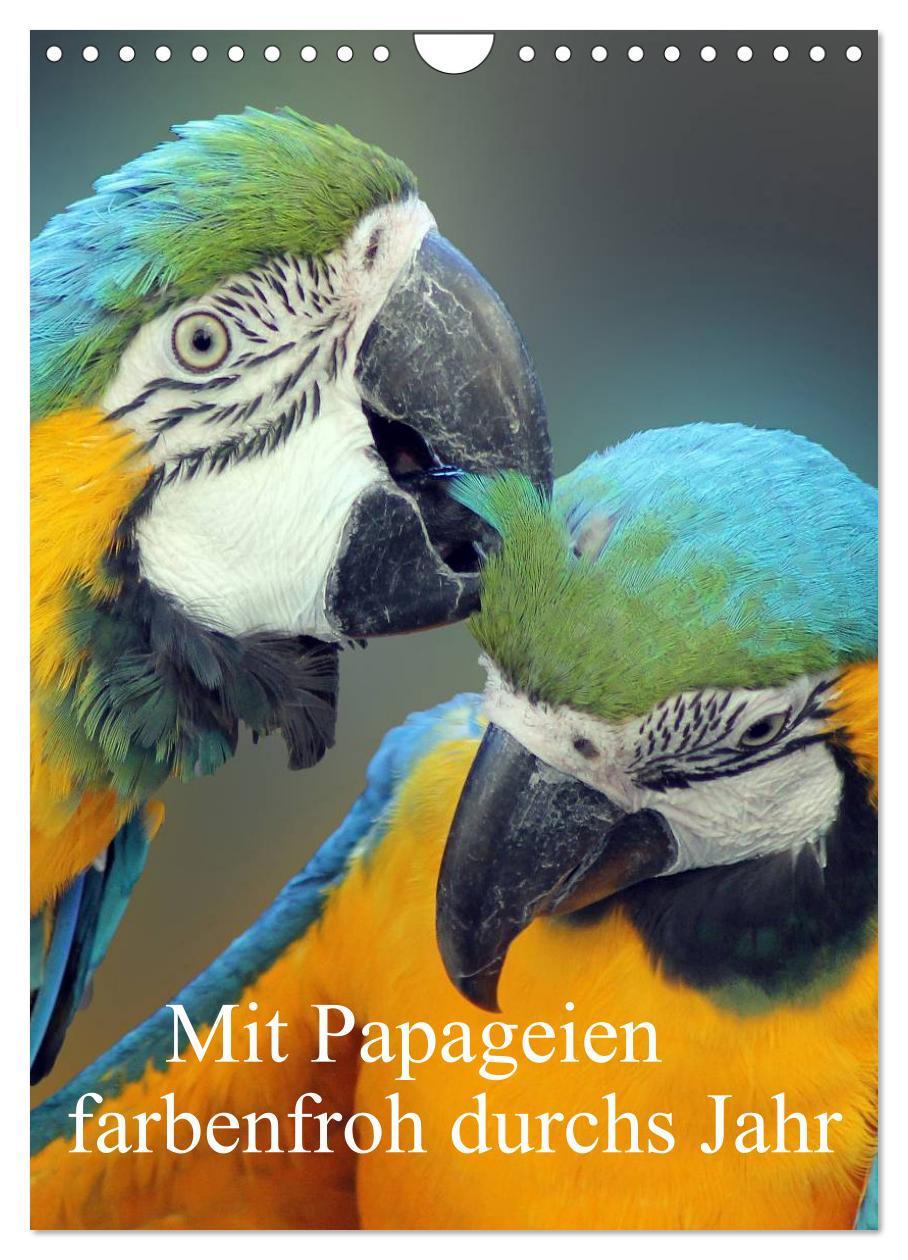 Cover: 9783457013373 | Mit Papageien farbenfroh durchs Jahr (Wandkalender 2025 DIN A4...