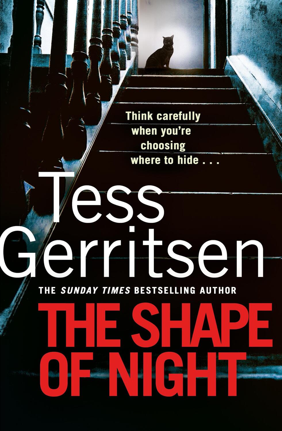 Cover: 9780857504319 | The Shape of Night | Tess Gerritsen | Taschenbuch | 2020