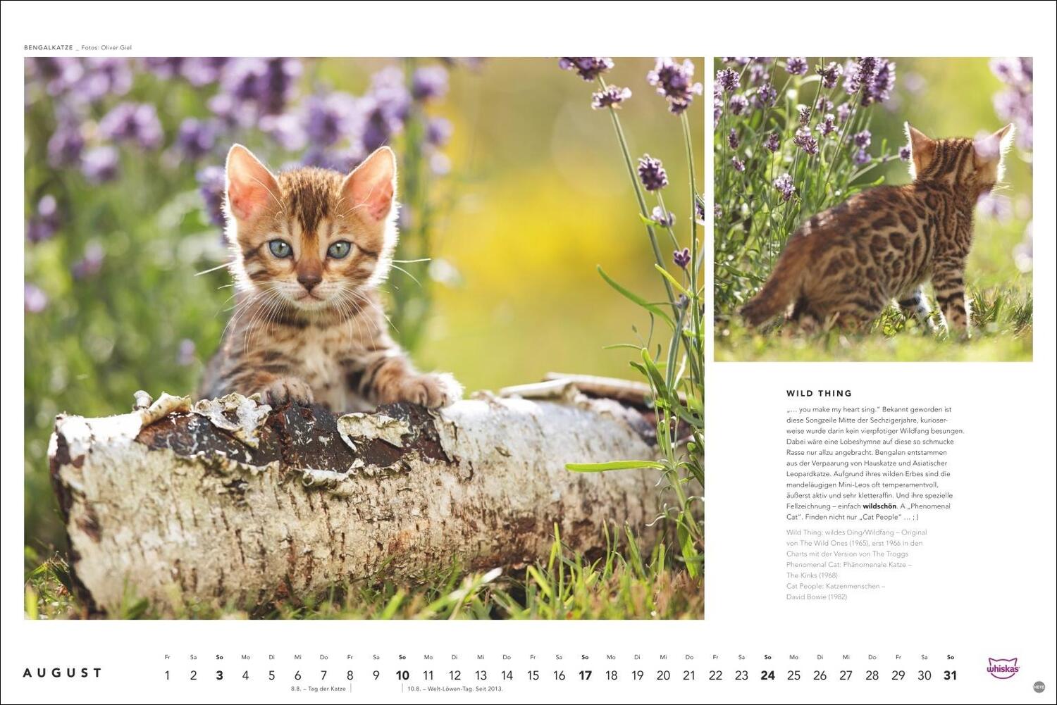 Bild: 9783756404971 | Whiskas Katzenkalender 2025 | Heye | Kalender | Spiralbindung | 14 S.