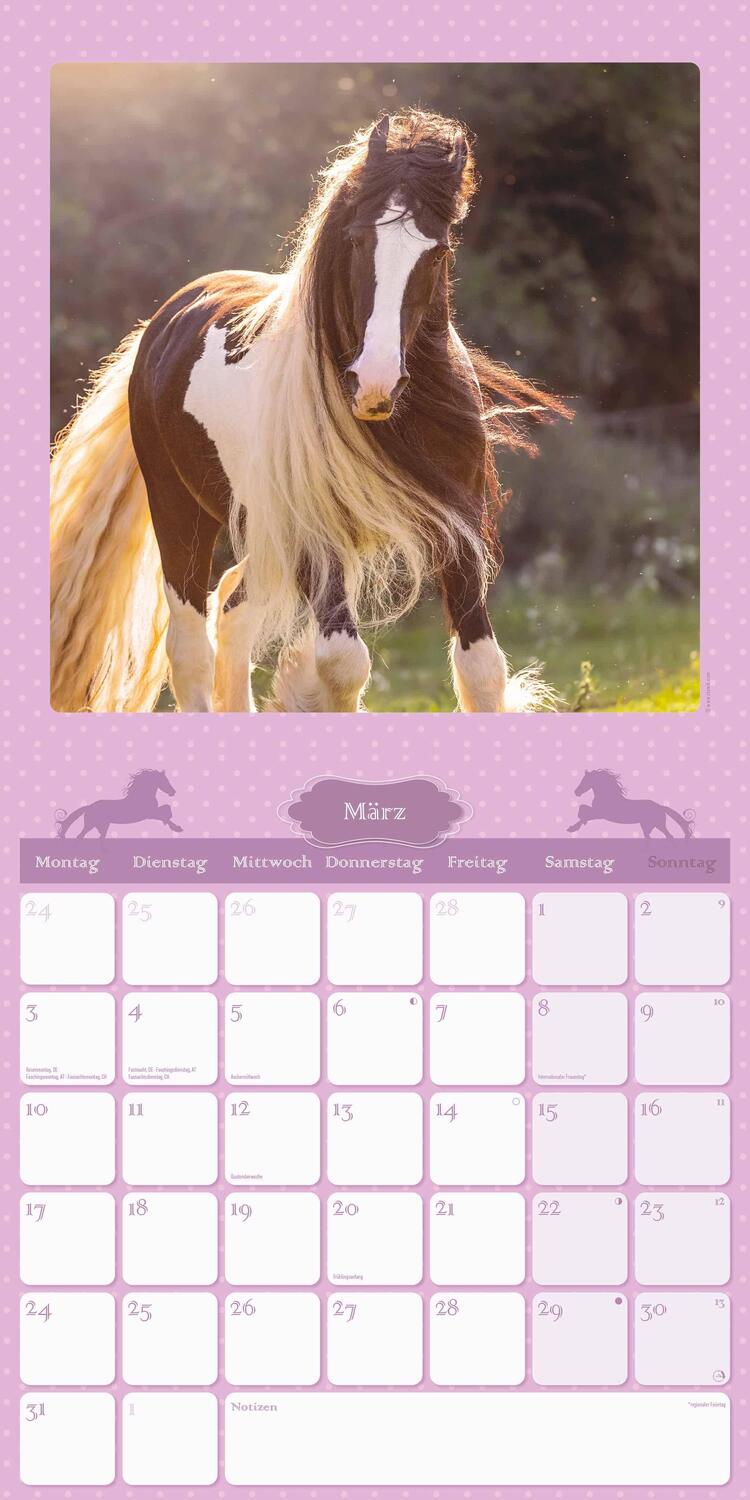 Bild: 4251732340834 | Mein Pferdekalender 2025 - Broschürenkalender 30x30 cm (30x60...