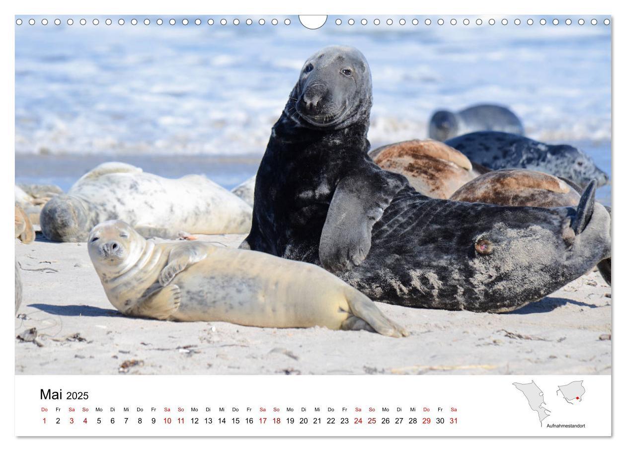 Bild: 9783435390304 | Mitreisekalender 2025 Helgoland (Wandkalender 2025 DIN A3 quer),...