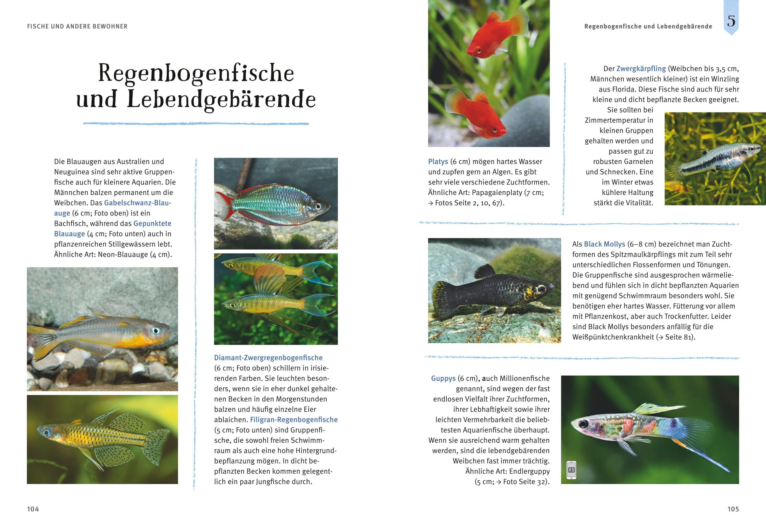 Bild: 9783833848513 | Faszinierendes Aquarium | Ulrich Schliewen | Taschenbuch | 144 S.