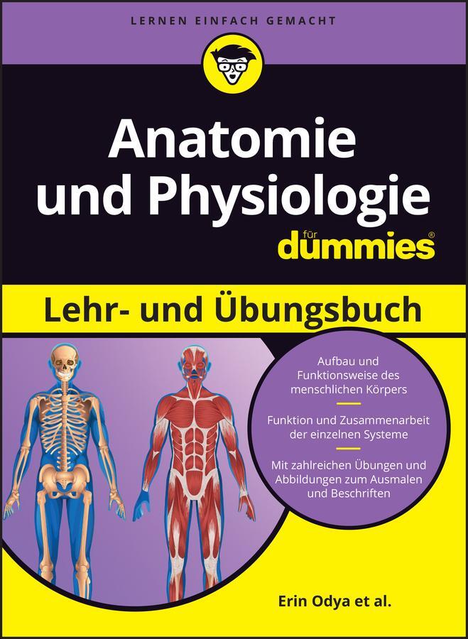 Cover: 9783527721313 | Anatomie und Physiologie Lehr- und Übungsbuch für Dummies | Buch