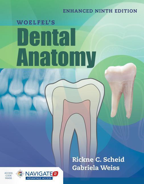 Cover: 9781284218244 | Woelfel's Dental Anatomy, Enhanced Edition | Rickne C. Scheid (u. a.)