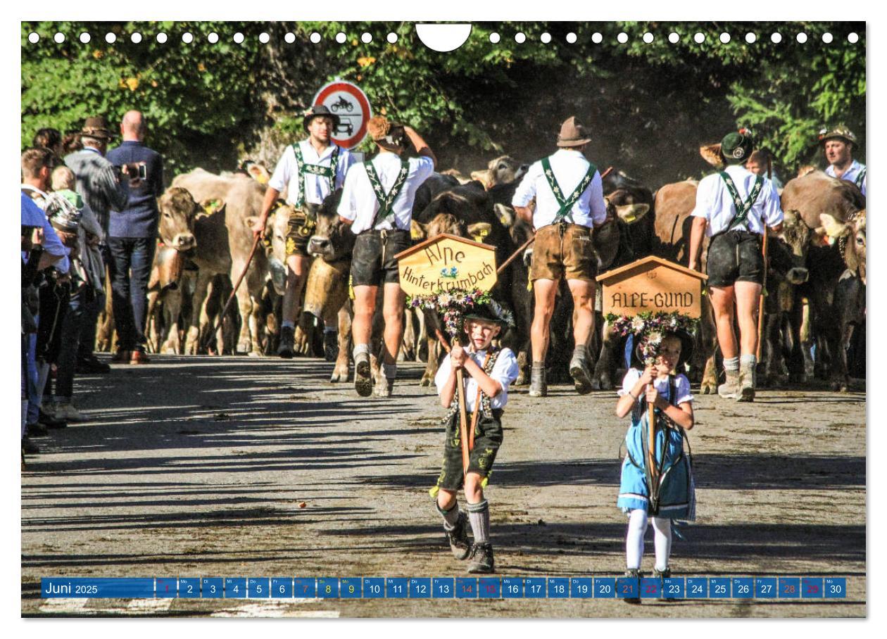 Bild: 9783435192762 | Allgäu - Perle im Süden (Wandkalender 2025 DIN A4 quer), CALVENDO...