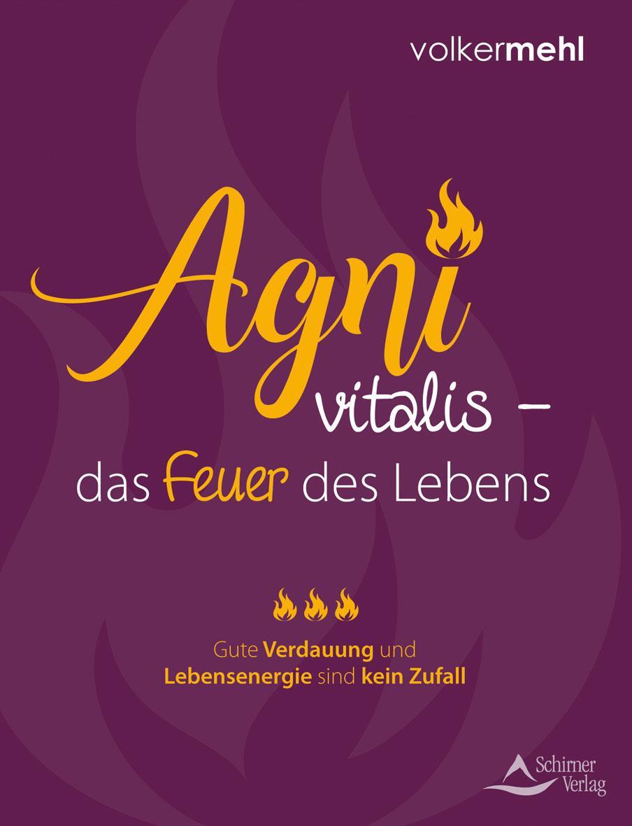 Cover: 9783843413046 | Agni vitalis - das Feuer des Lebens | Volker Mehl | Taschenbuch | 2018