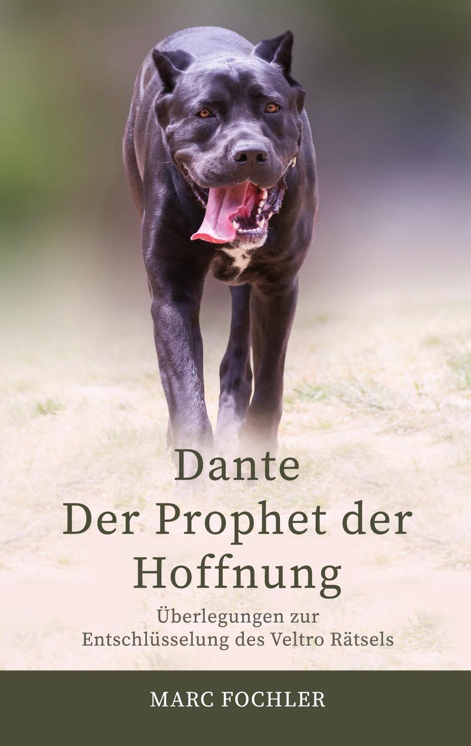 Cover: 9783347708501 | Dante ¿ Der Prophet der Hoffnung | Marc Fochler | Taschenbuch | 2022