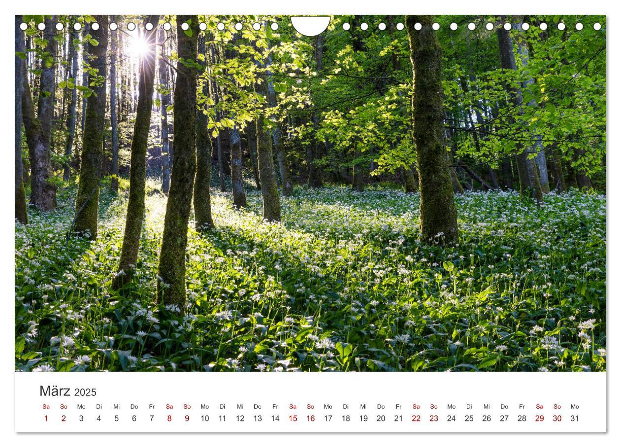 Bild: 9783457235423 | Sauerland - hier muss man mal gewesen sein (Wandkalender 2025 DIN...