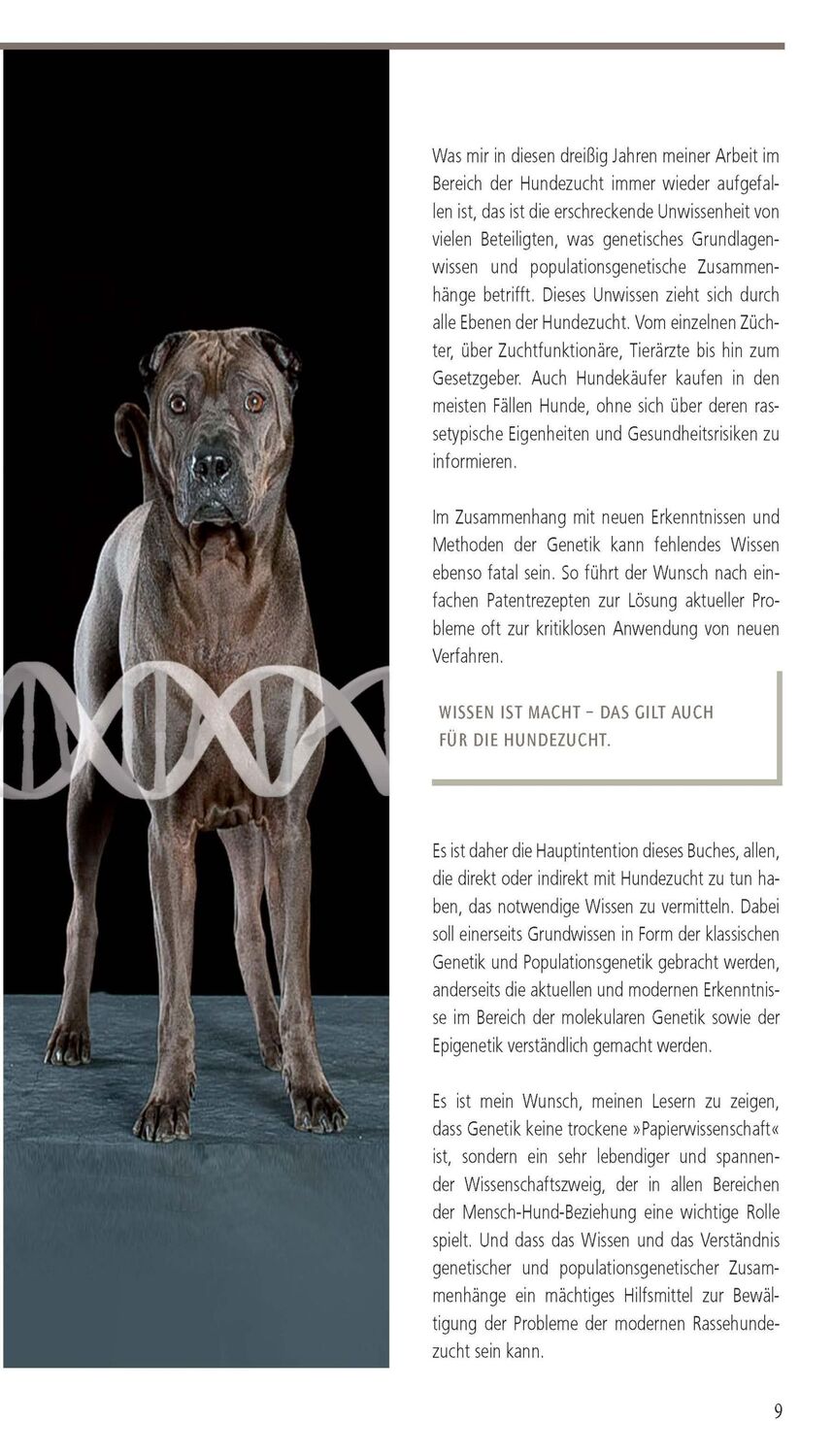 Bild: 9783275023110 | Rassehundezucht | Genetik für Züchter und Halter | Sommerfeld-Stur