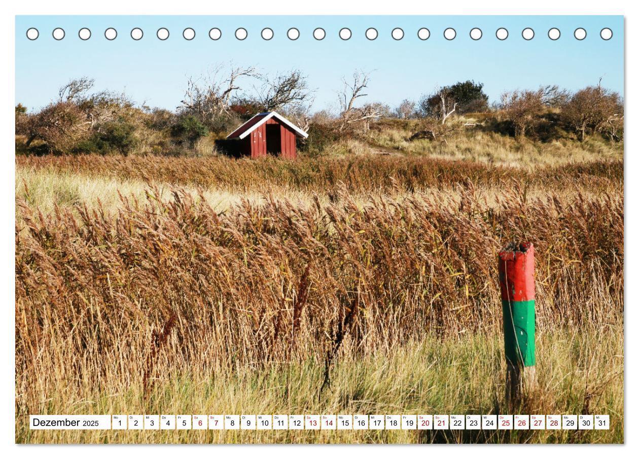 Bild: 9783457233689 | Insel Baltrum, Perle im Ostfriesischen Wattenmeer (Tischkalender...