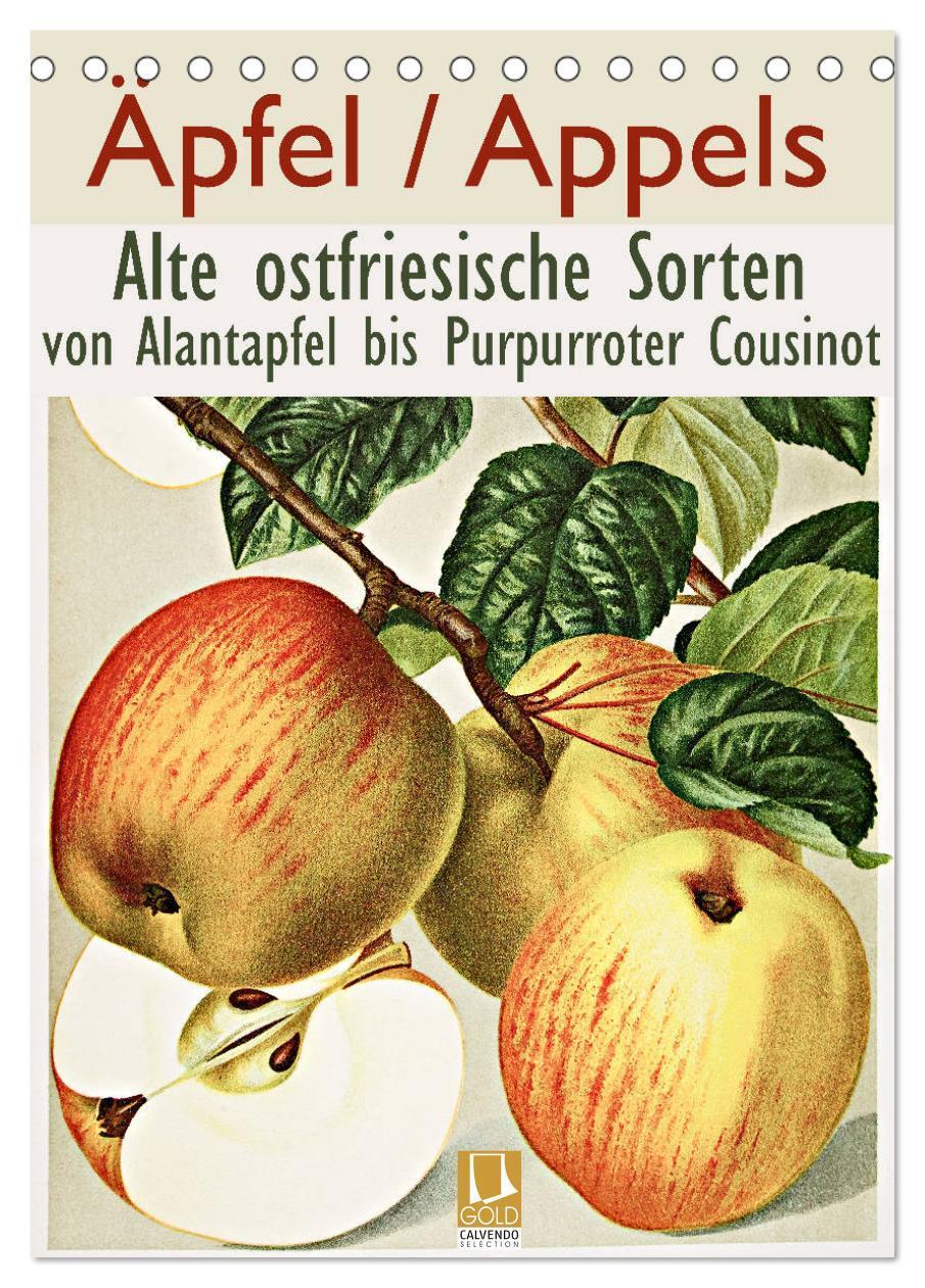 Cover: 9783383086434 | Äpfel/Appels. Alte ostfriesische Sorten (Tischkalender 2024 DIN A5...